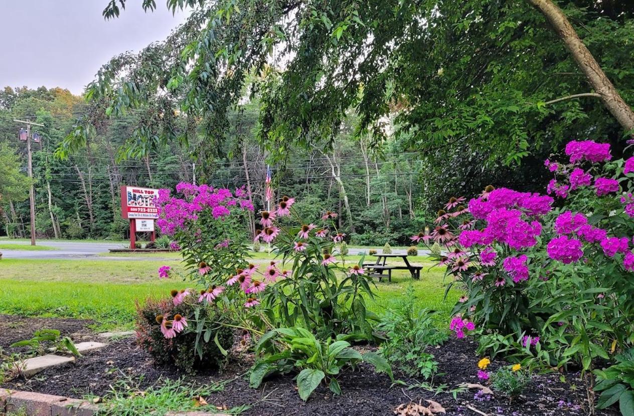 Hill Top Motel Wrightstown Bagian luar foto